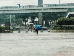 Prakiraan BMKG Sabtu, 5 Juli 2025, Cuaca di Abdya Berawan, Dua Kecamatan Diprediksi Hujan Ringan