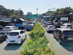 Libur Maulid Nabi, Sebanyak 12.321 Kendaraan Masuk Jalur Puncak Bogor Pagi Ini