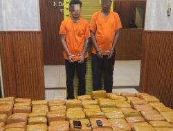 Dua Kurir 225 Kg Ganja yang Ditangkap di Mobil Terios Nekat Beraksi Diupah Rp 50 Juta