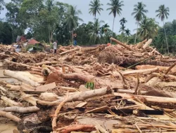 Kayu Gelondongan Banjir Bandang di Sumatera Komisi IV DPR: Pemerintah Harus Bertindak