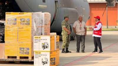 Penanganan Pemerintah