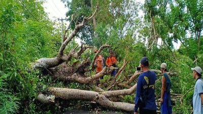 Hujan Deras dan Angin