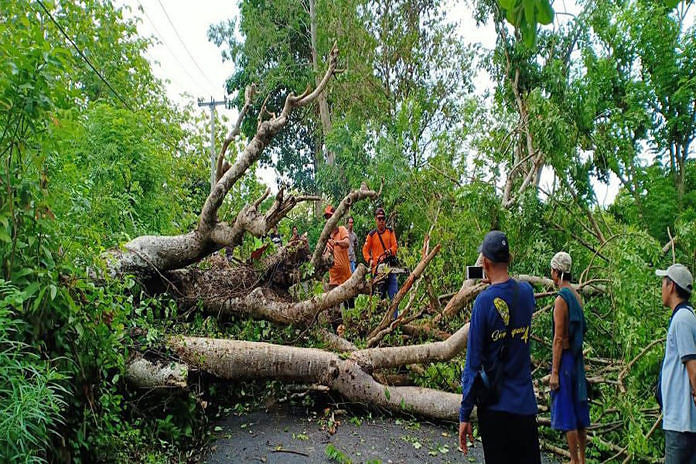 Hujan Deras dan Angin