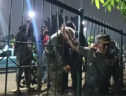 Menata Hutan Kota Cawang Setelah Sekelompok Pria Datang di Waktu Malam